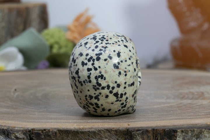 2" Dalmation Stone Skull