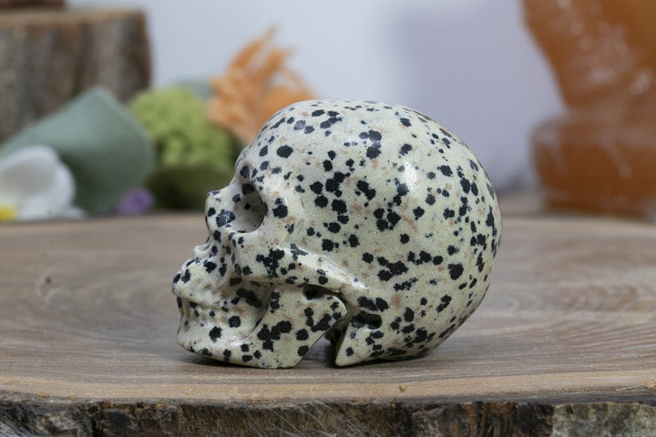 2" Dalmation Stone Skull