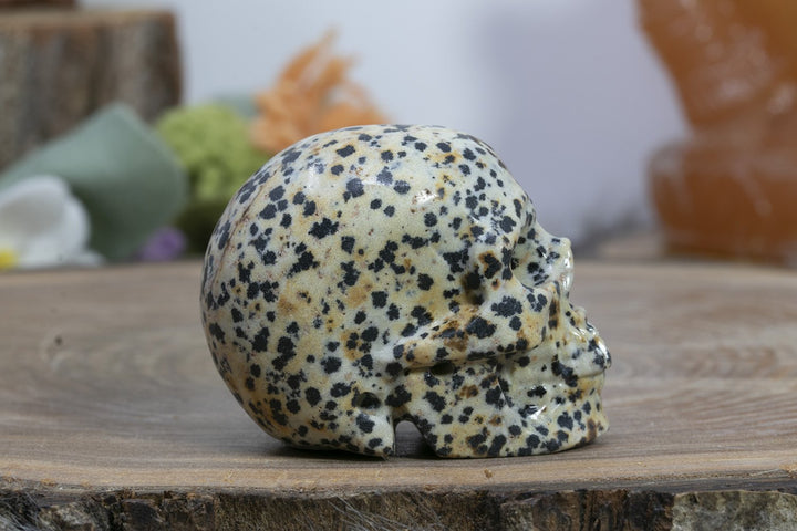 2" Dalmation Stone Skull