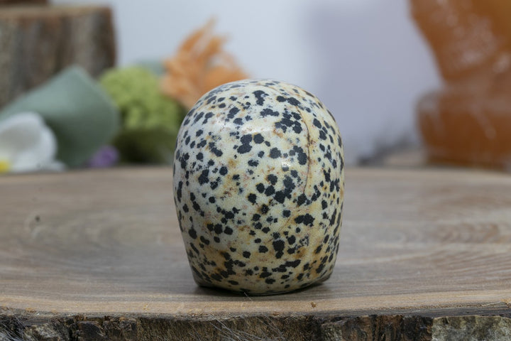 2" Dalmation Stone Skull