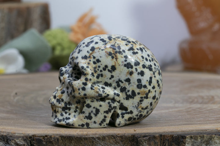 2" Dalmation Stone Skull