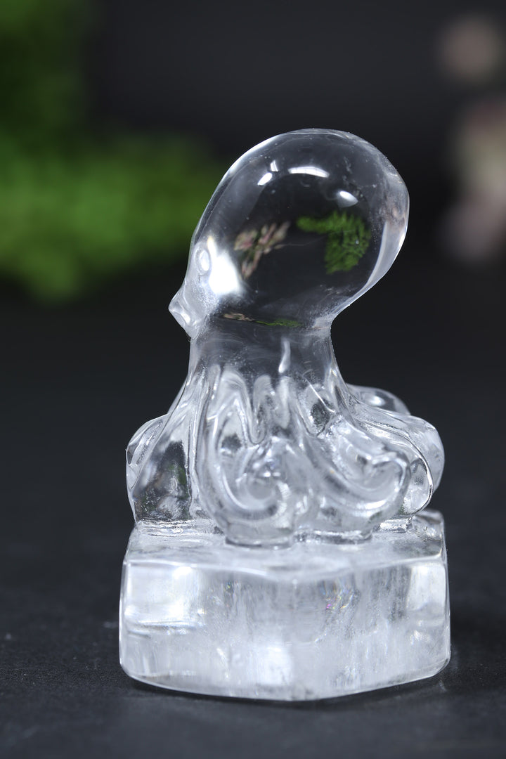 Quartz Octopus Carving DD2552