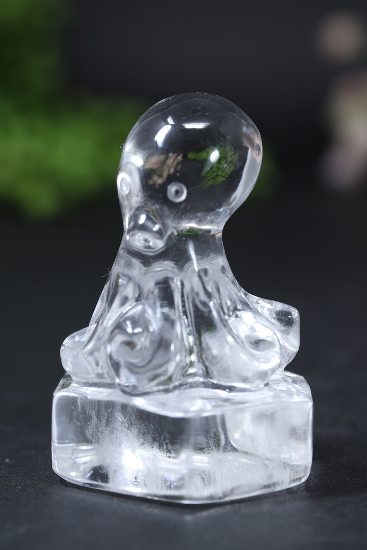 Quartz Octopus Carving DD2552