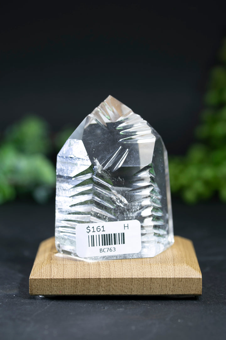 2.5" Fantasy Cut Lemurian BC763
