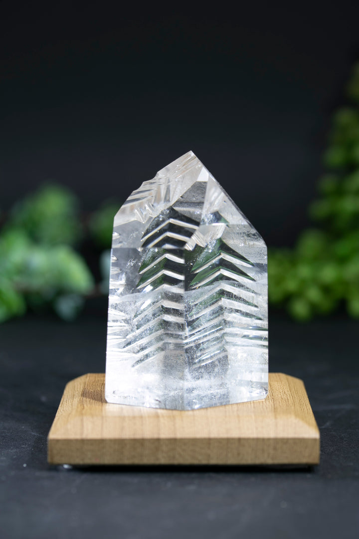 2.5" Fantasy Cut Lemurian BC763