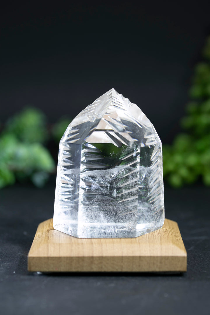 2.5" Fantasy Cut Lemurian BC763