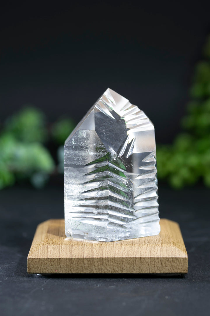 2.5" Fantasy Cut Lemurian BC763