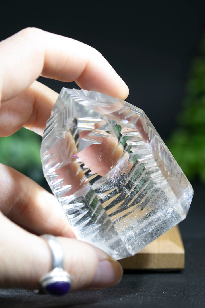 2.5" Fantasy Cut Lemurian BC763