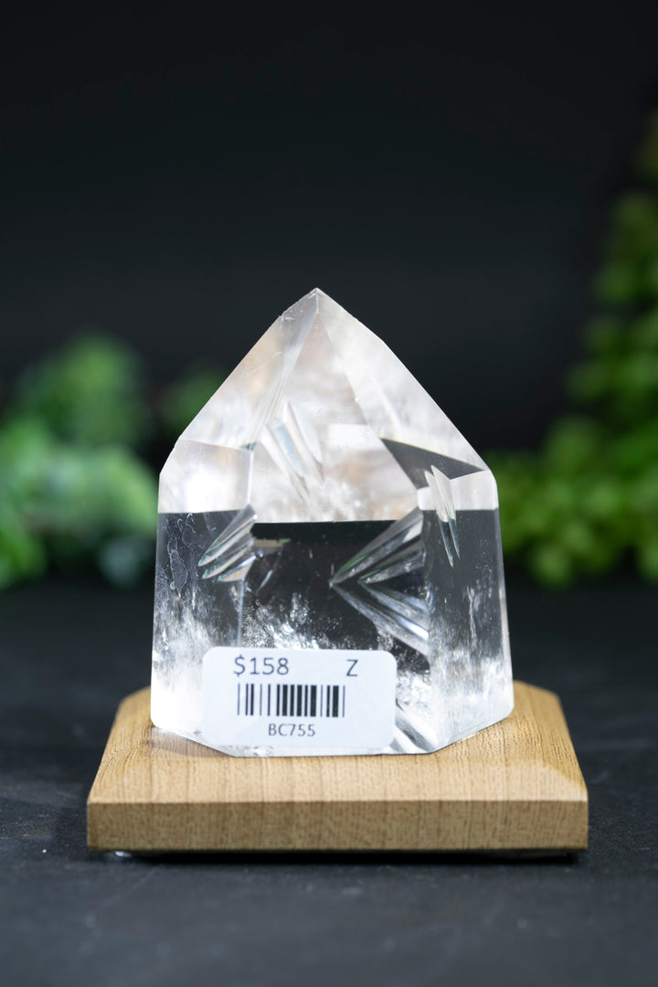 2.5" Fantasy Cut Lemurian BC755