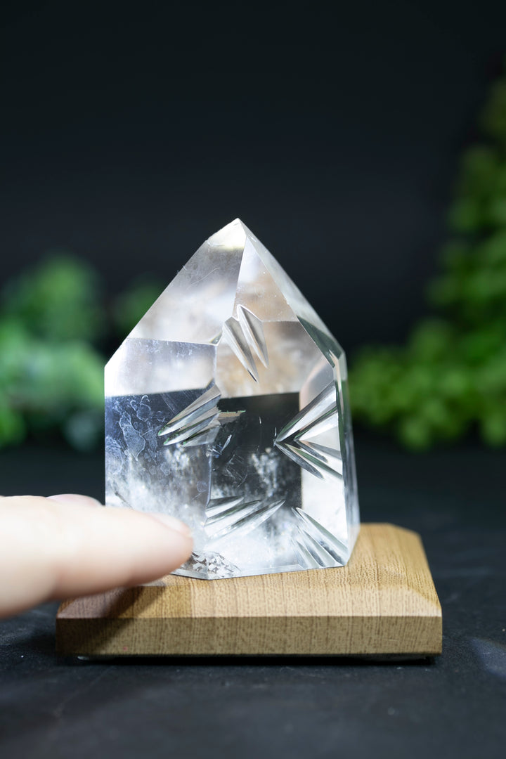 2.5" Fantasy Cut Lemurian BC755