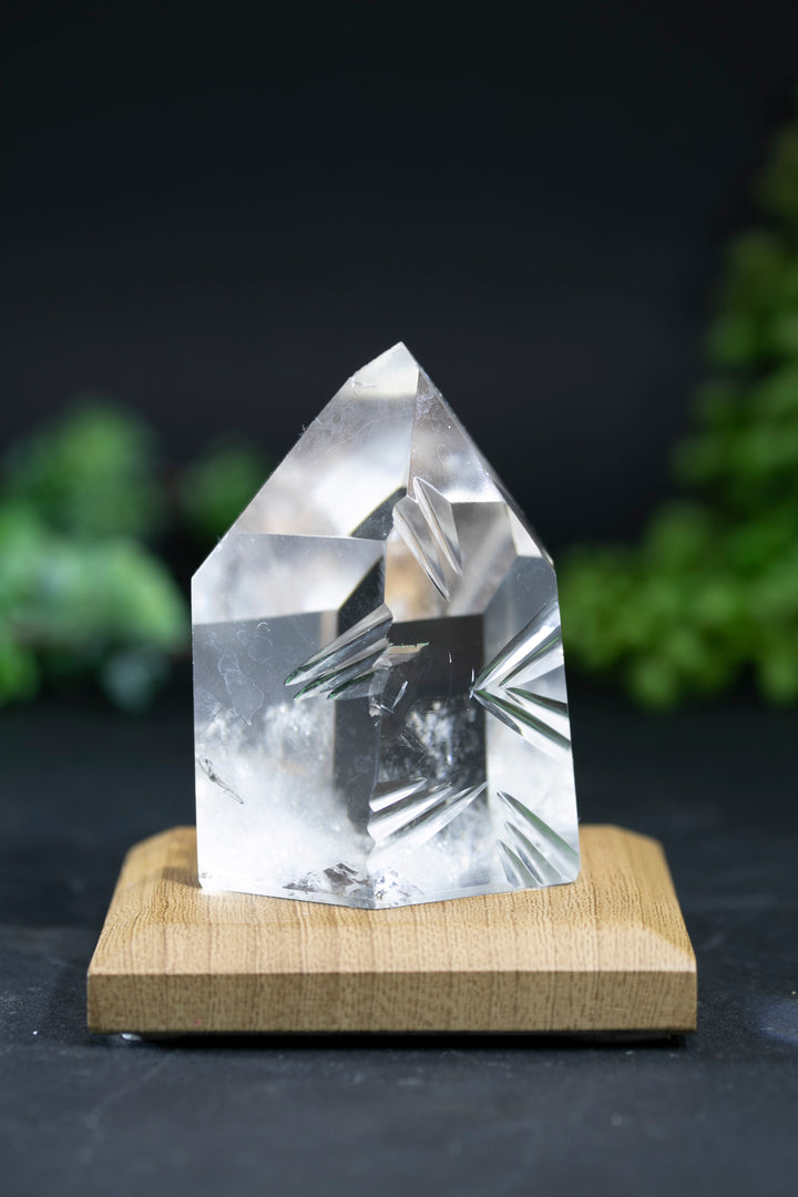 2.5" Fantasy Cut Lemurian BC755