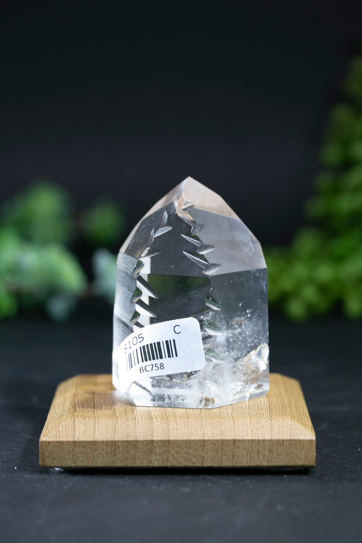 2.25" Fantasy Cut Lemurian BC758