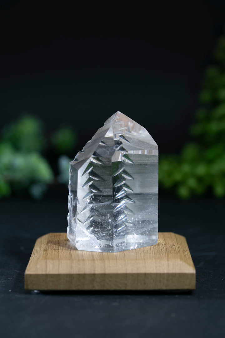 2.25" Fantasy Cut Lemurian BC758