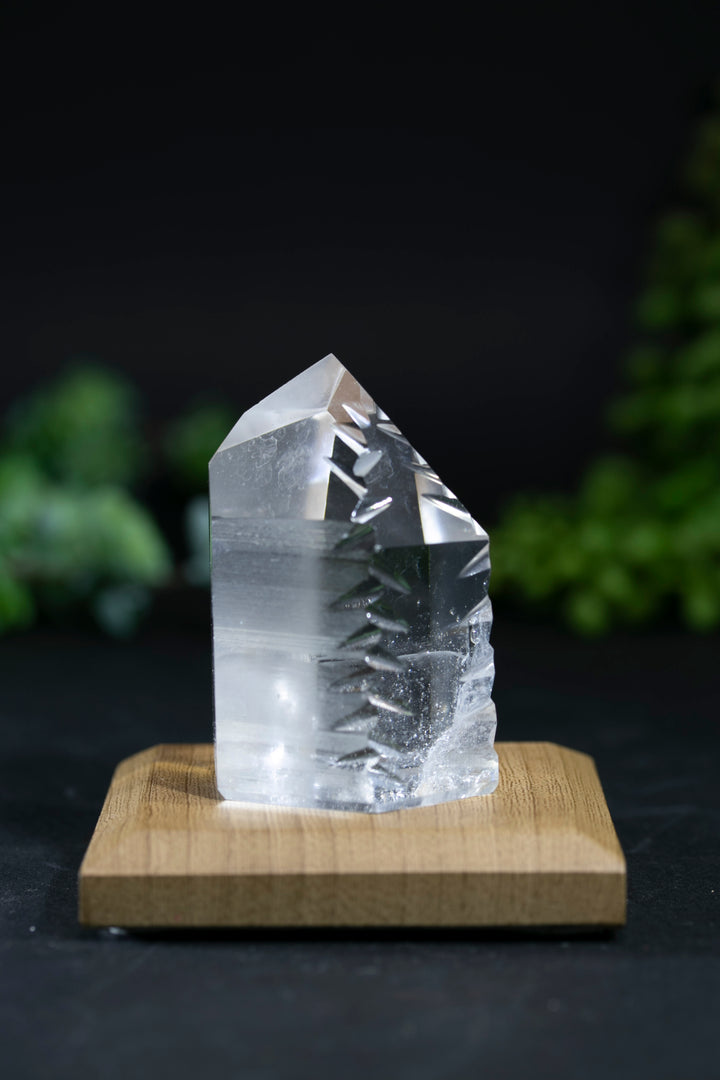 2.25" Fantasy Cut Lemurian BC758