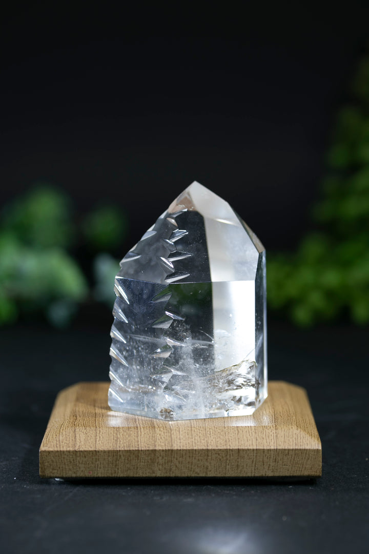 2.25" Fantasy Cut Lemurian BC758