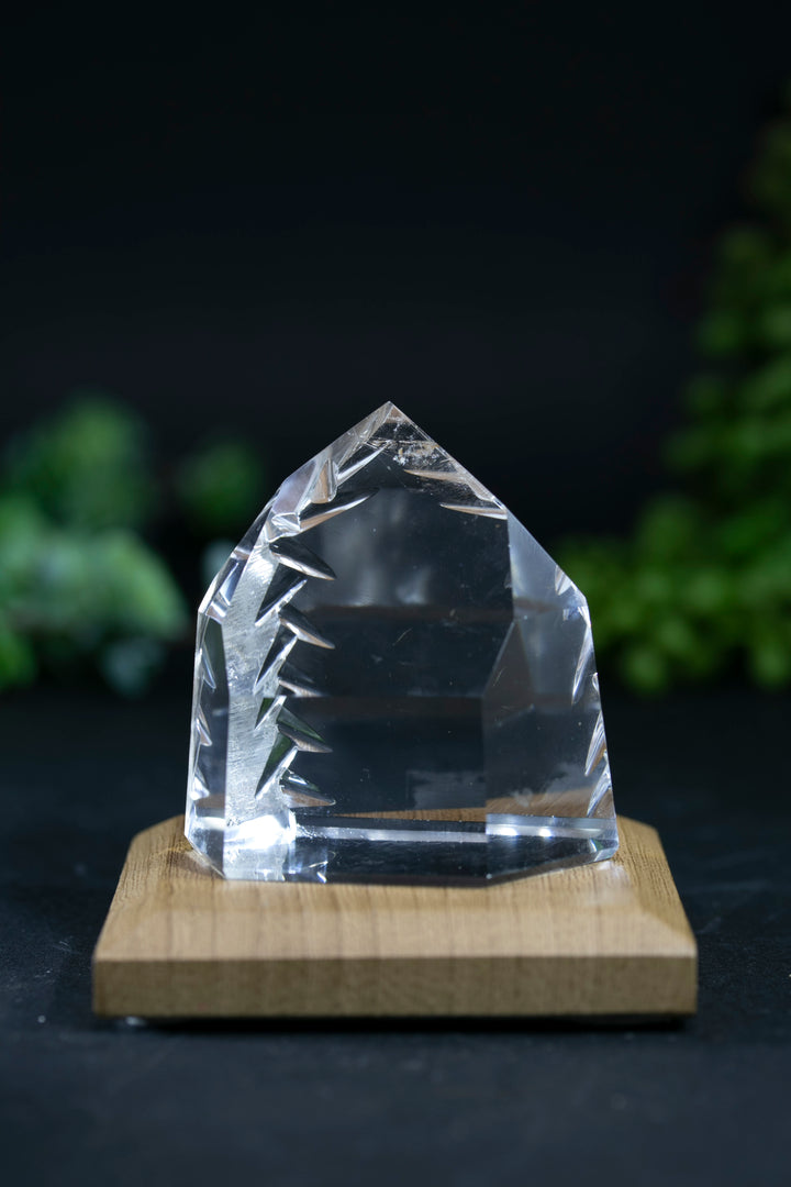2" Fantasy Cut Lemurian BC777