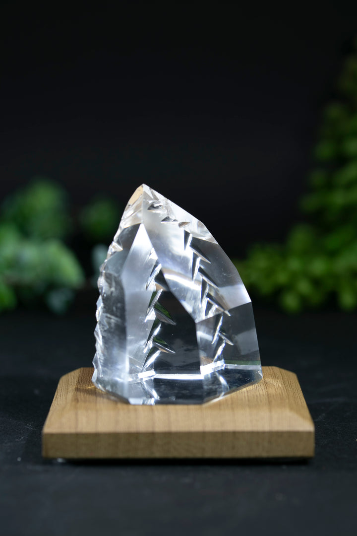 2" Fantasy Cut Lemurian BC777