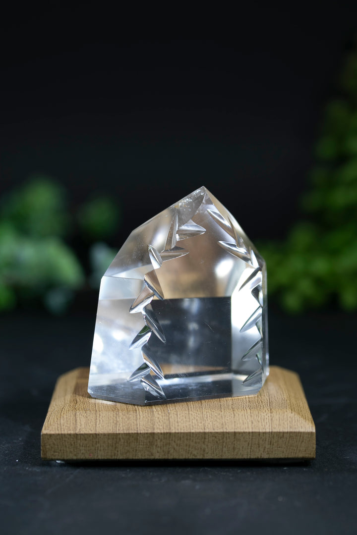 2" Fantasy Cut Lemurian BC777