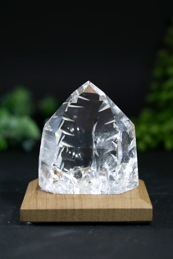2" Fantasy Cut Lemurian BC765