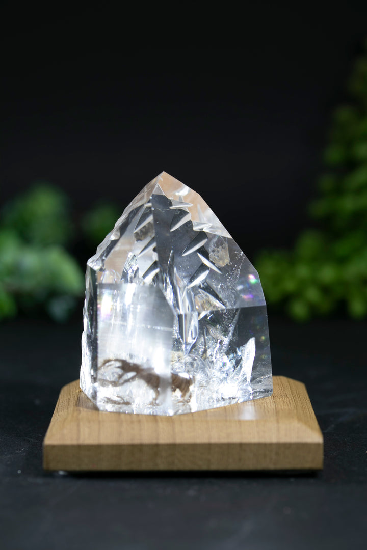 2" Fantasy Cut Lemurian BC765