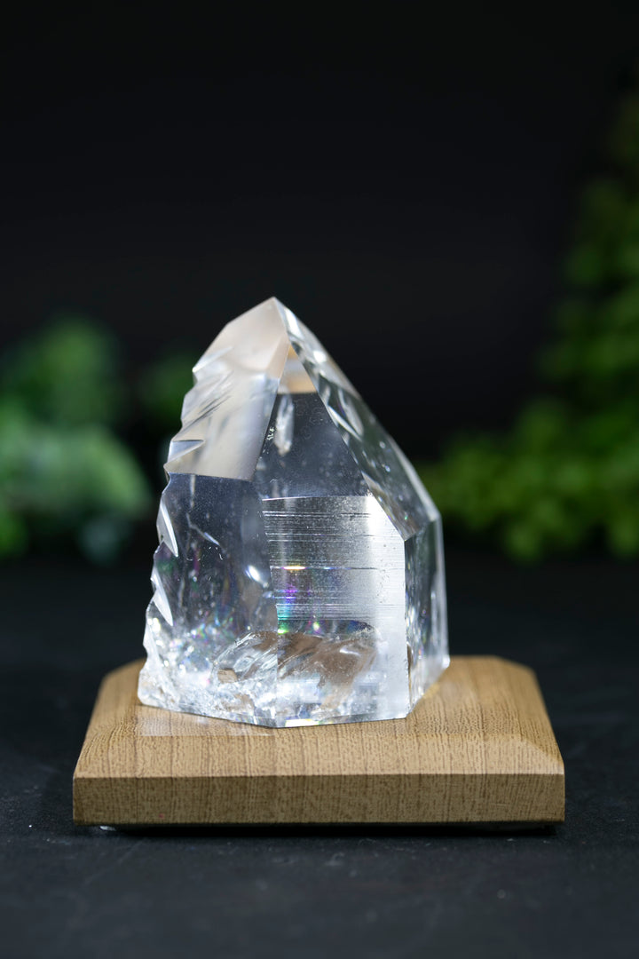 2" Fantasy Cut Lemurian BC765