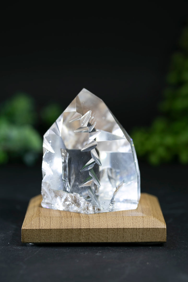 2" Fantasy Cut Lemurian BC765