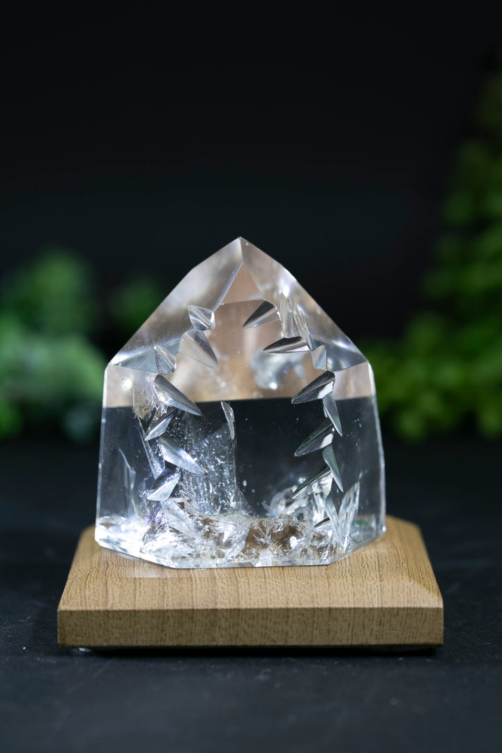 2" Fantasy Cut Lemurian BC765