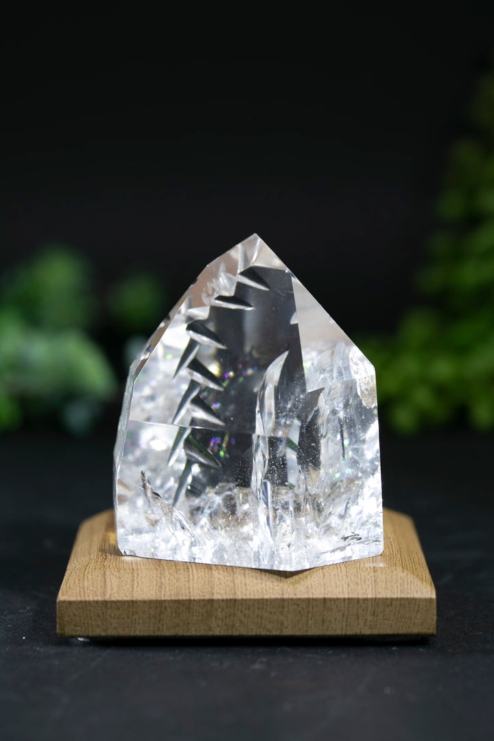 2" Fantasy Cut Lemurian BC765