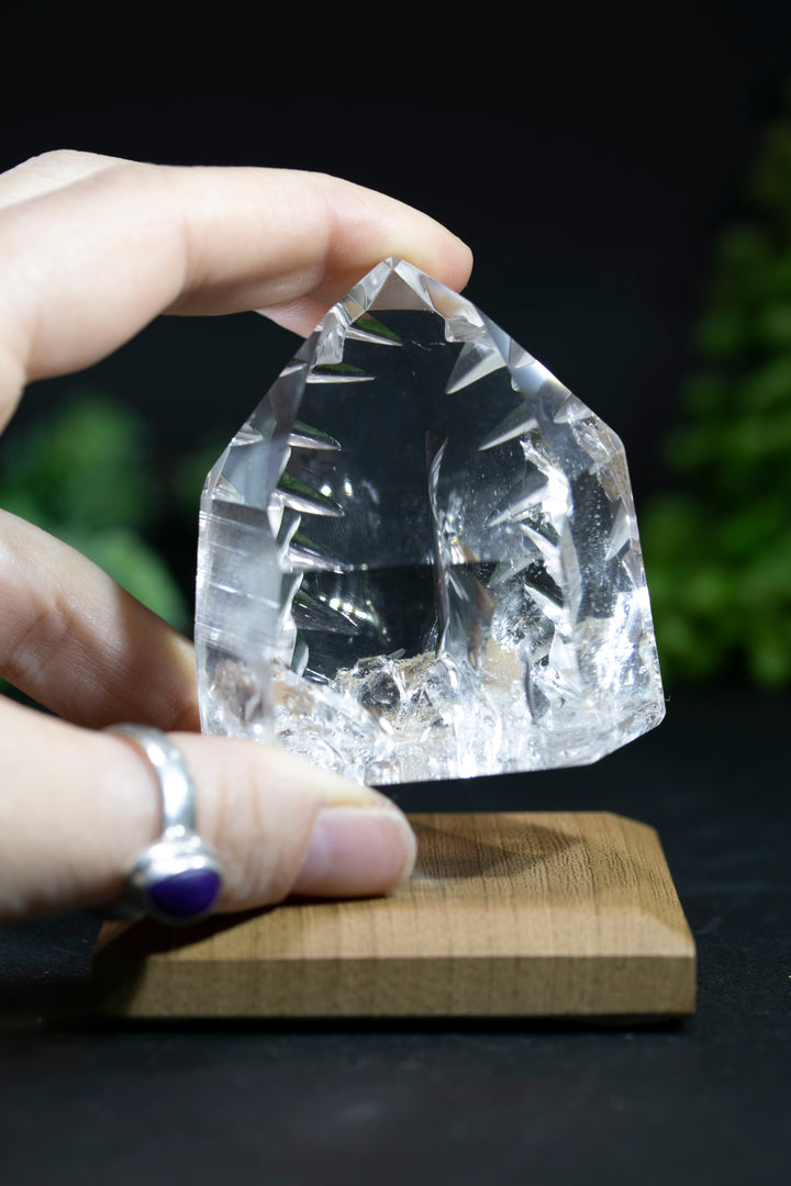 2" Fantasy Cut Lemurian BC765