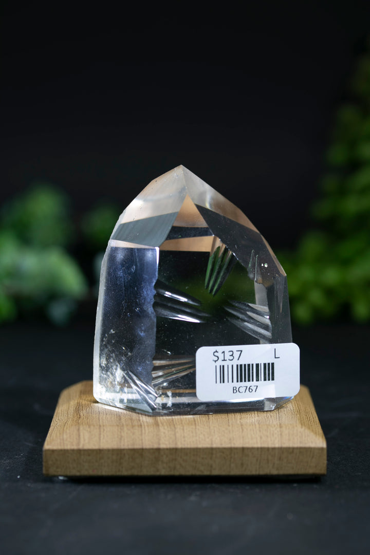 2.25" Fantasy Cut Lemurian BC767