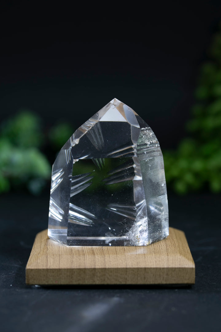 2.25" Fantasy Cut Lemurian BC767