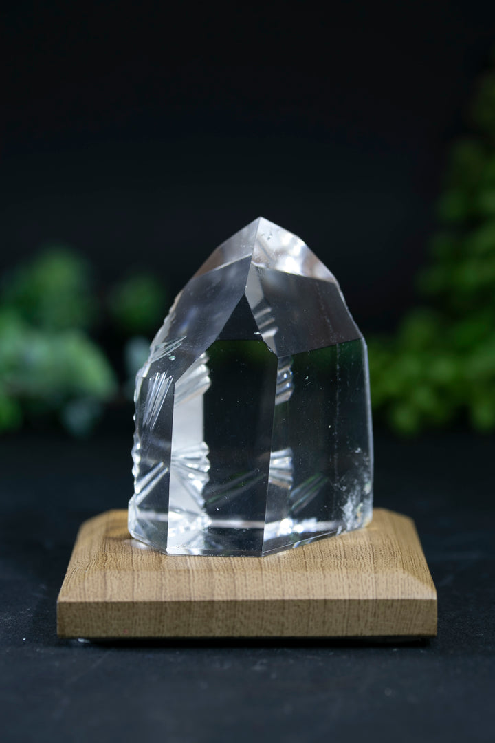2.25" Fantasy Cut Lemurian BC767