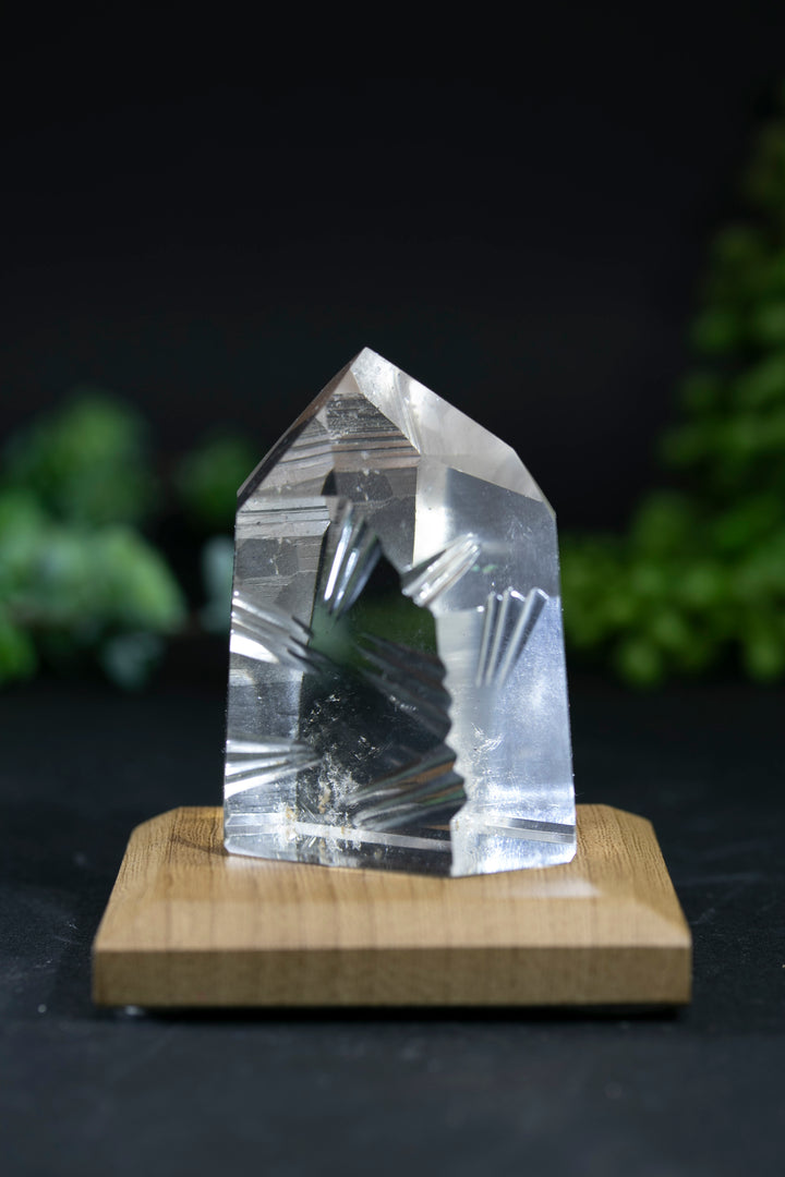 2.25" Fantasy Cut Lemurian BC767