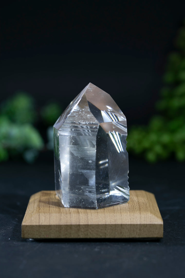 2.25" Fantasy Cut Lemurian BC767