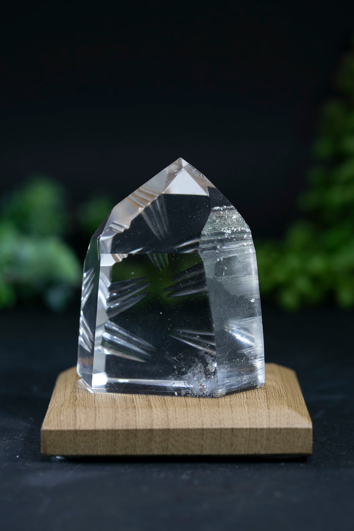 2.25" Fantasy Cut Lemurian BC767