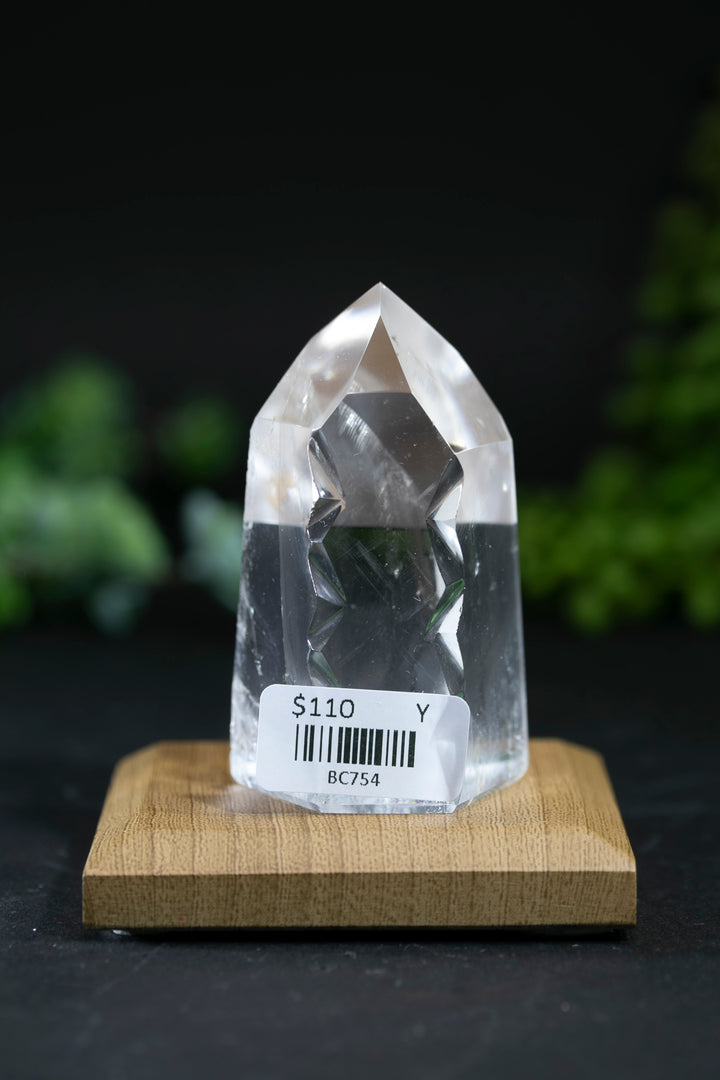 2.5" Fantasy Cut Lemurian BC754
