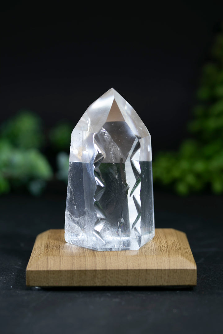 2.5" Fantasy Cut Lemurian BC754