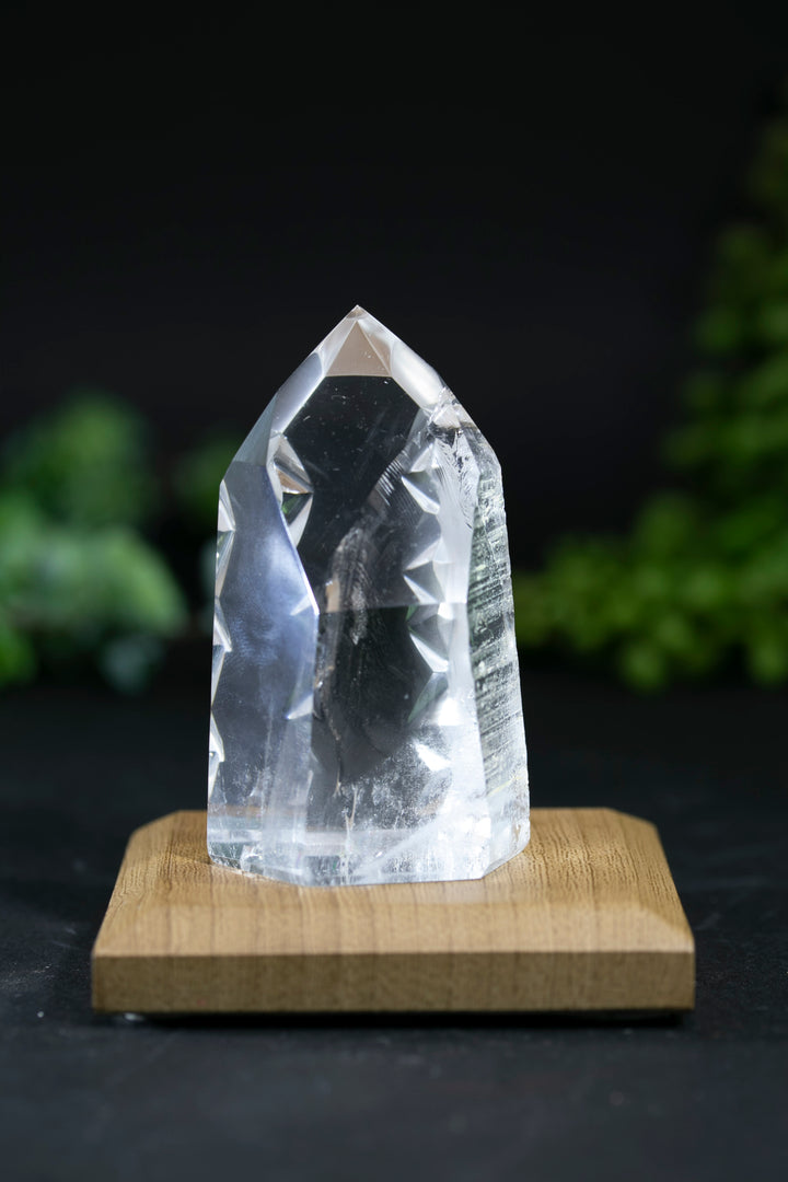 2.5" Fantasy Cut Lemurian BC754