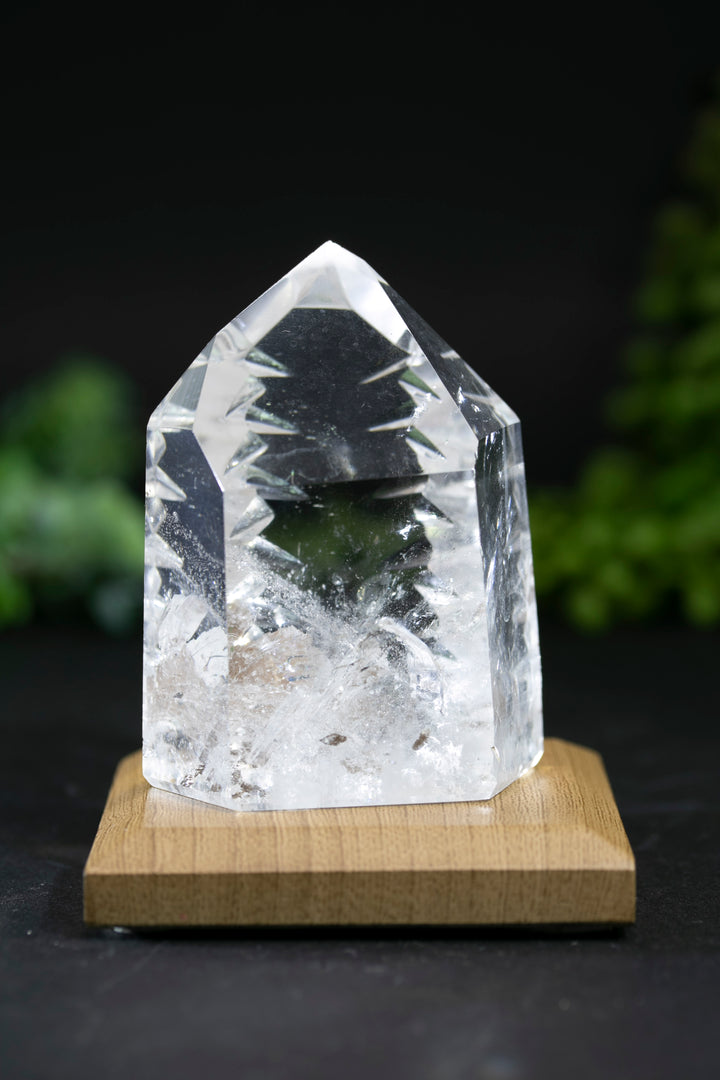 2.5" Fantasy Cut Lemurian BC780