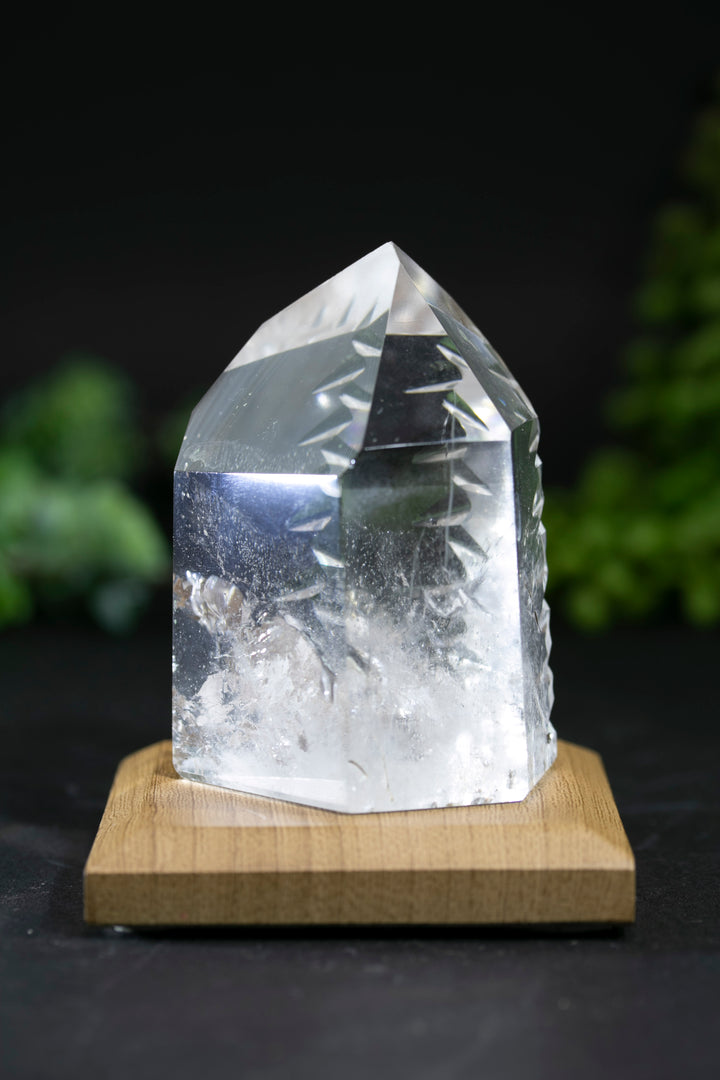 2.5" Fantasy Cut Lemurian BC780