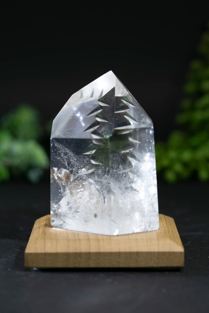 2.5" Fantasy Cut Lemurian BC780