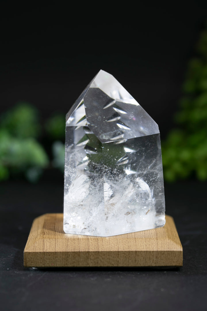 2.5" Fantasy Cut Lemurian BC780