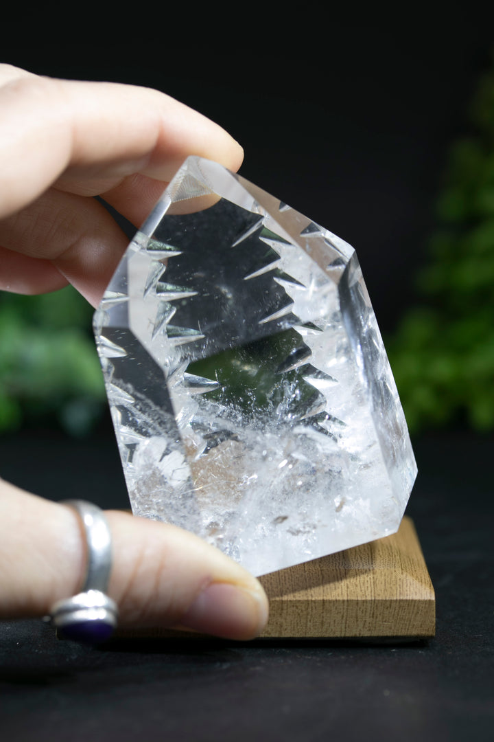 2.5" Fantasy Cut Lemurian BC780