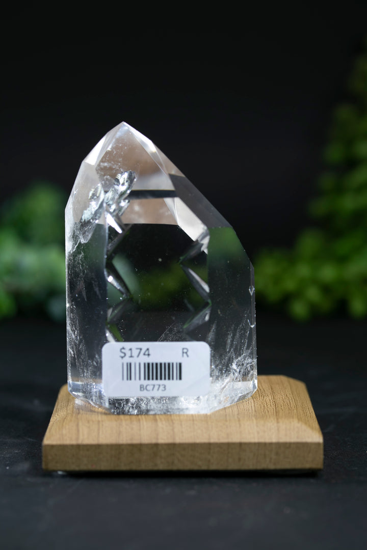 2.75" Fantasy Cut Lemurian BC773