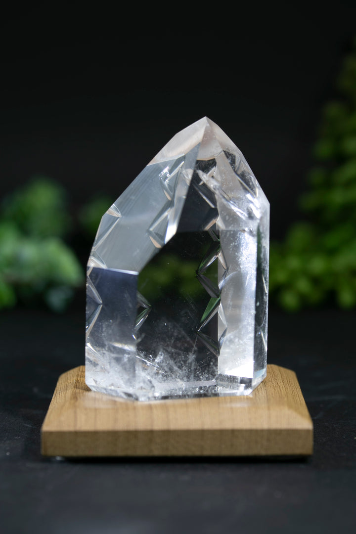 2.75" Fantasy Cut Lemurian BC773