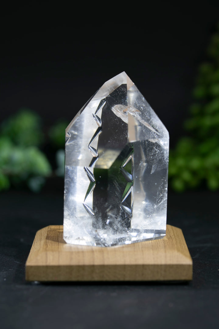2.75" Fantasy Cut Lemurian BC773