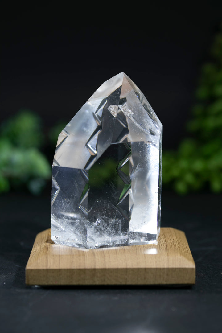 2.75" Fantasy Cut Lemurian BC773