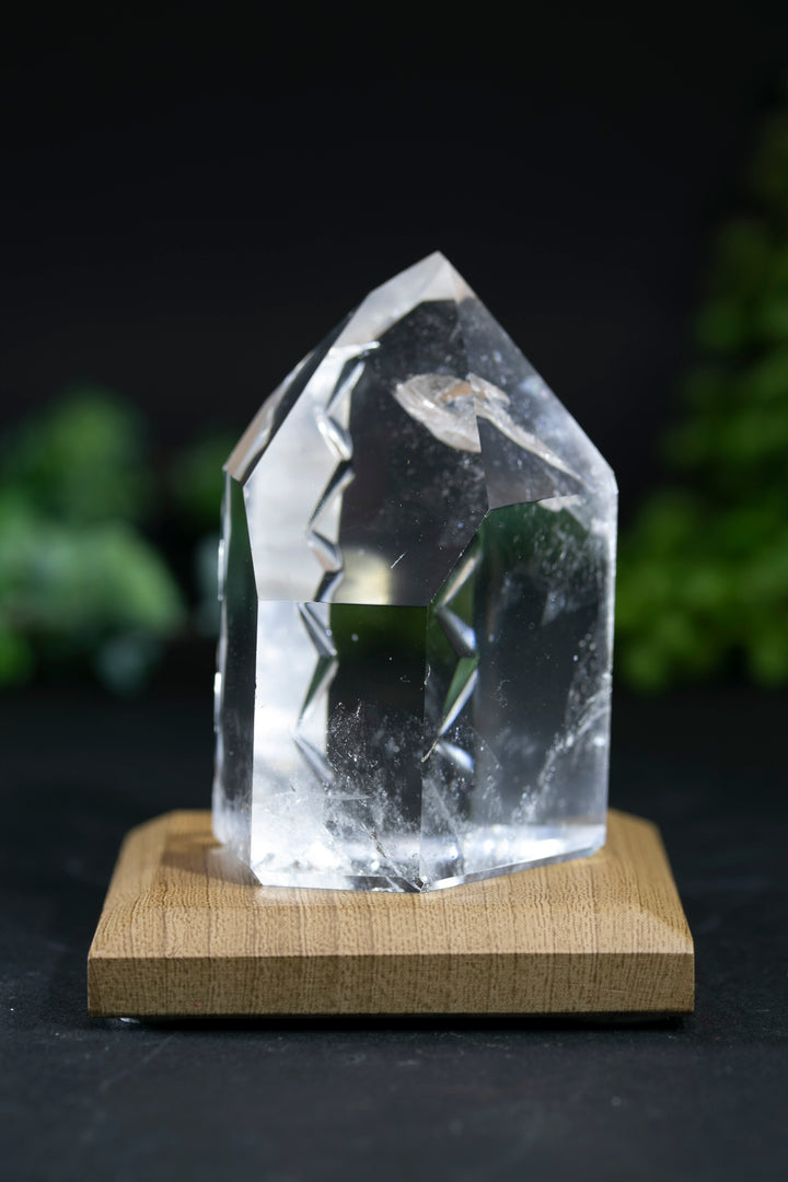 2.75" Fantasy Cut Lemurian BC773