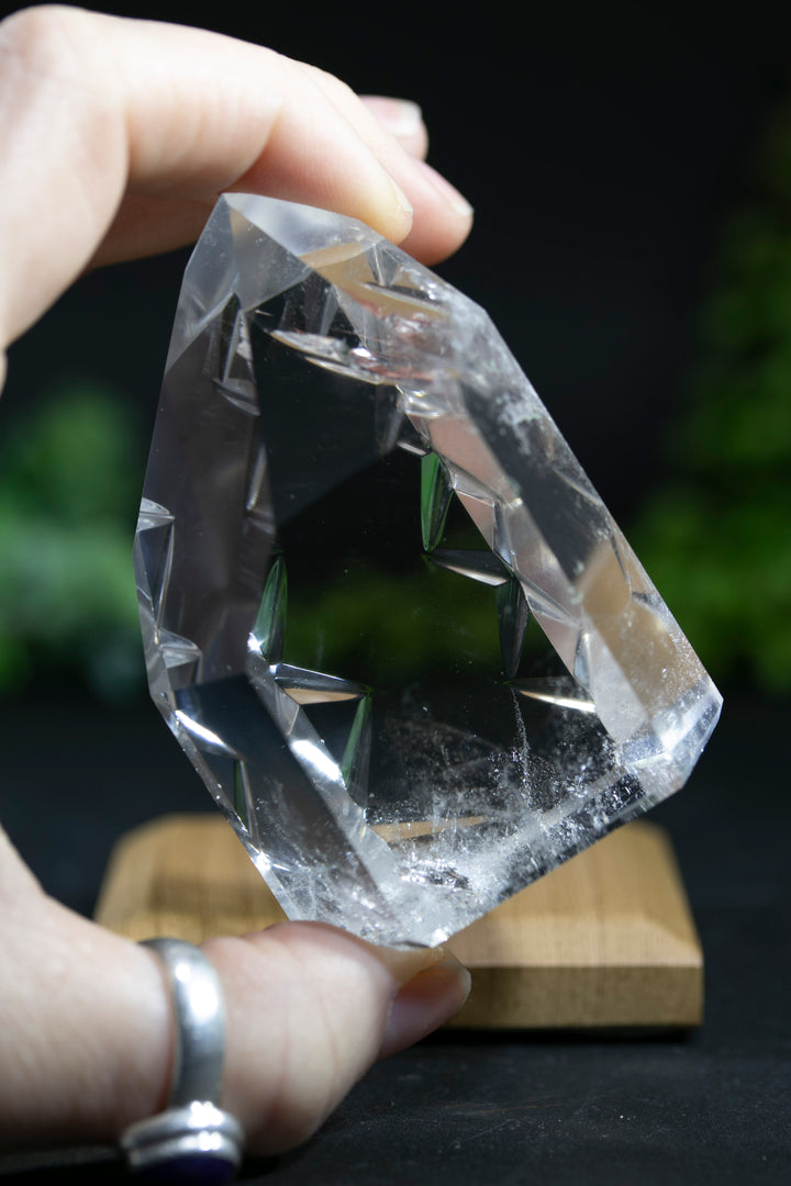 2.75" Fantasy Cut Lemurian BC773