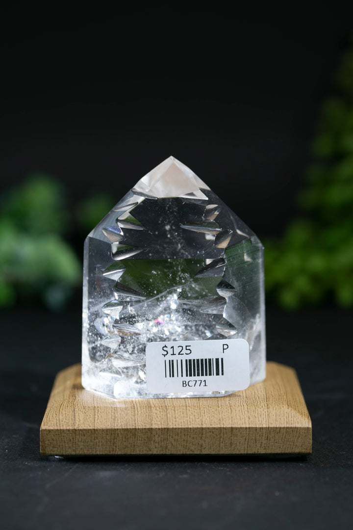 2.5" Fantasy Cut Lemurian BC771